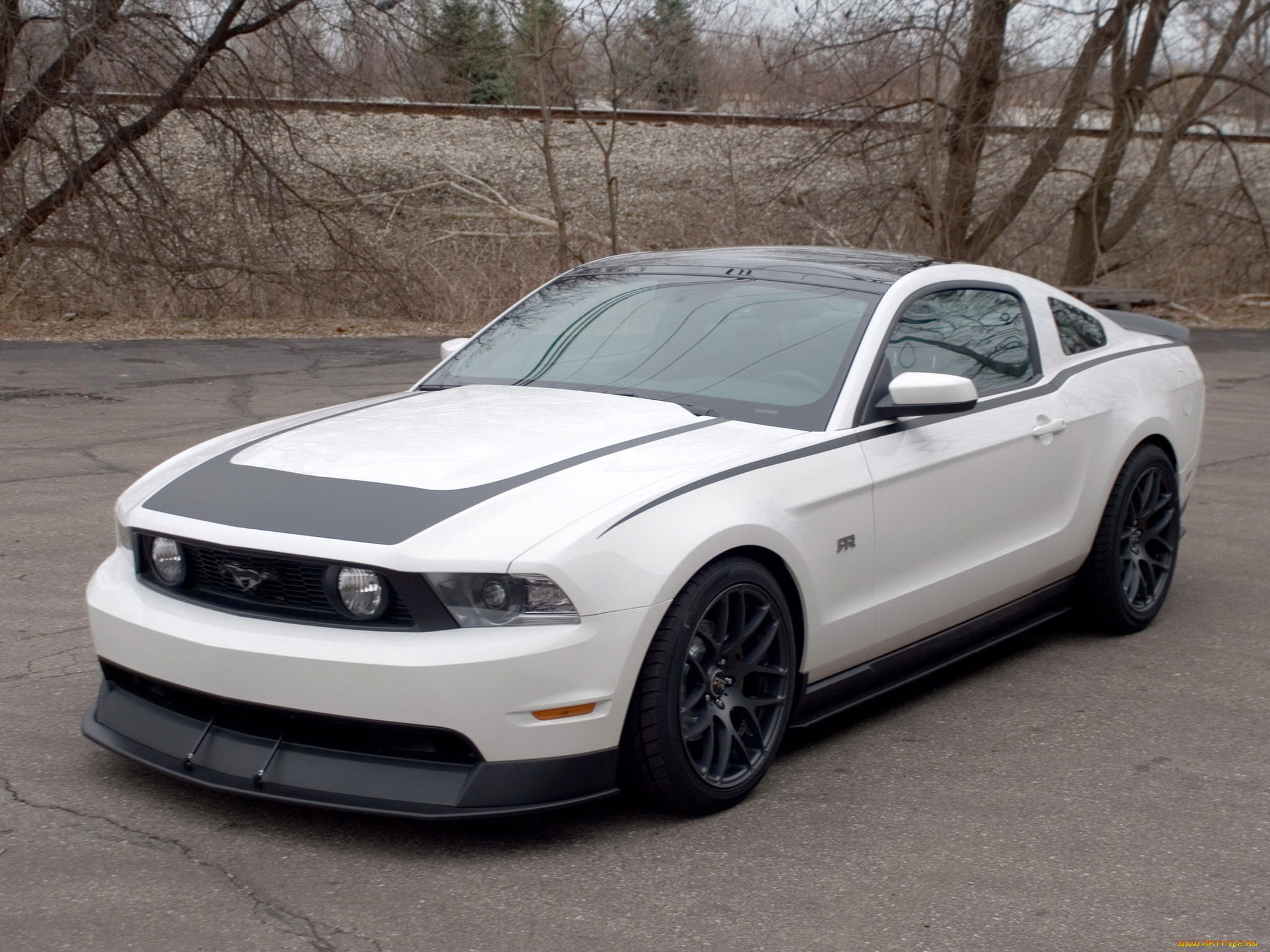, mustang